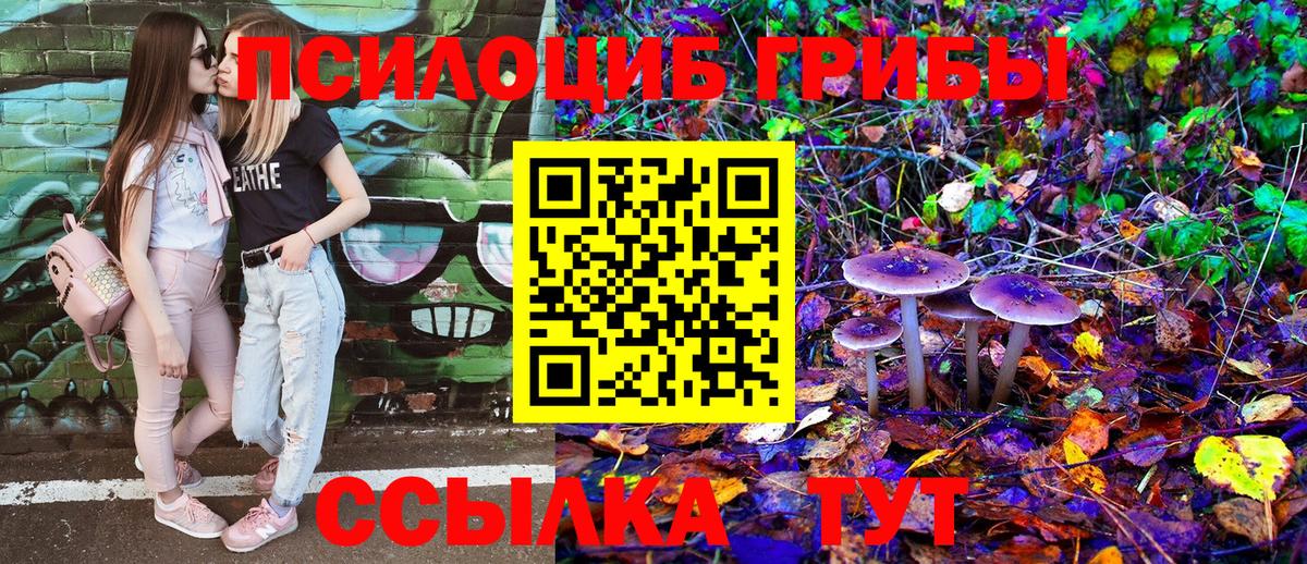 Галлюциногенные грибы Magic Shrooms Каменск-Уральский