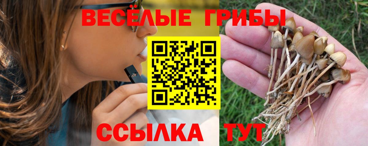 Каменск-Уральский  Псилоцибиновые грибы прущие грибы  Вход с VPN  Галлюциногенные грибы MAGIC MUSHROOMS 